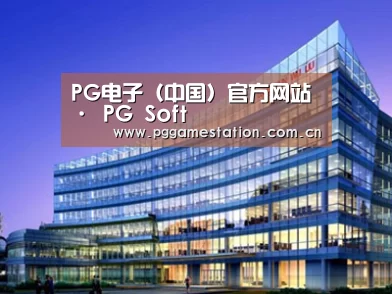 展示五