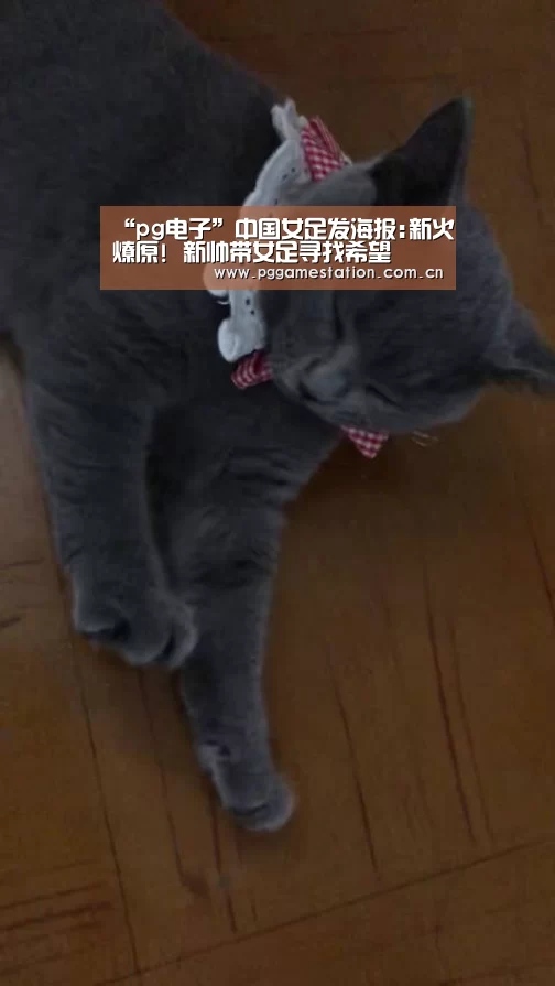 “pg电子”中国女足发海报:新火燎原! 新帅带女足寻找希望(图2) PG Soft