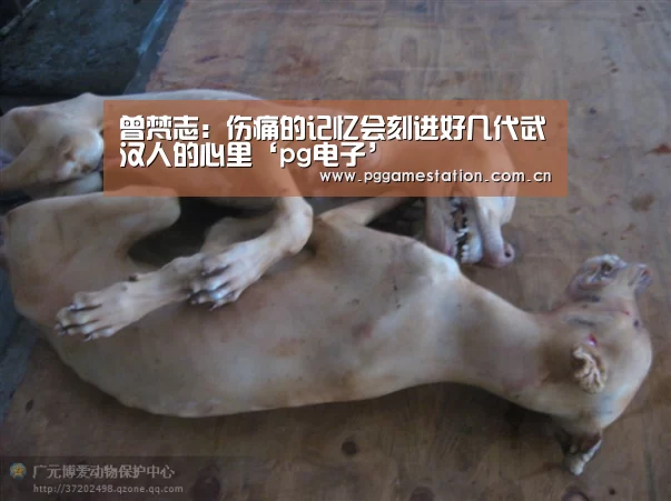 曾梵志：伤痛的记忆会刻进好几代武汉人的心里‘pg电子’