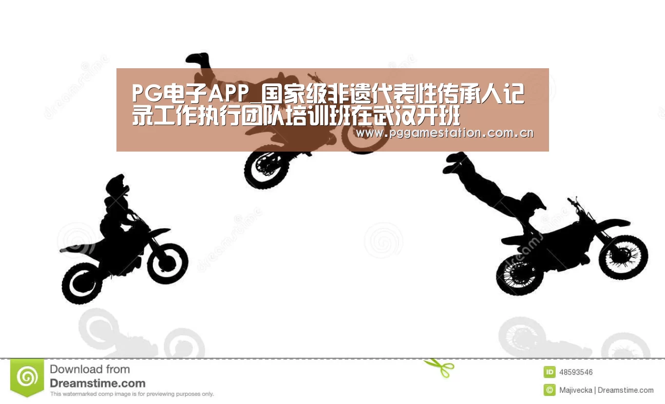 PG电子APP_国家级非遗代表性传承人记录工作执行团队培训班在武汉开班(图3) pg电子