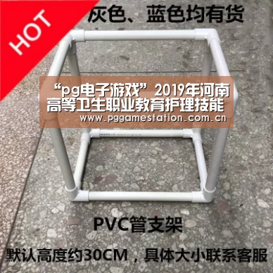 “pg电子游戏”2019年河南高等卫生职业教育护理技能竞赛落幕(图2) PG电子APP